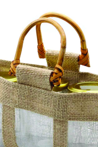 Cane Handle