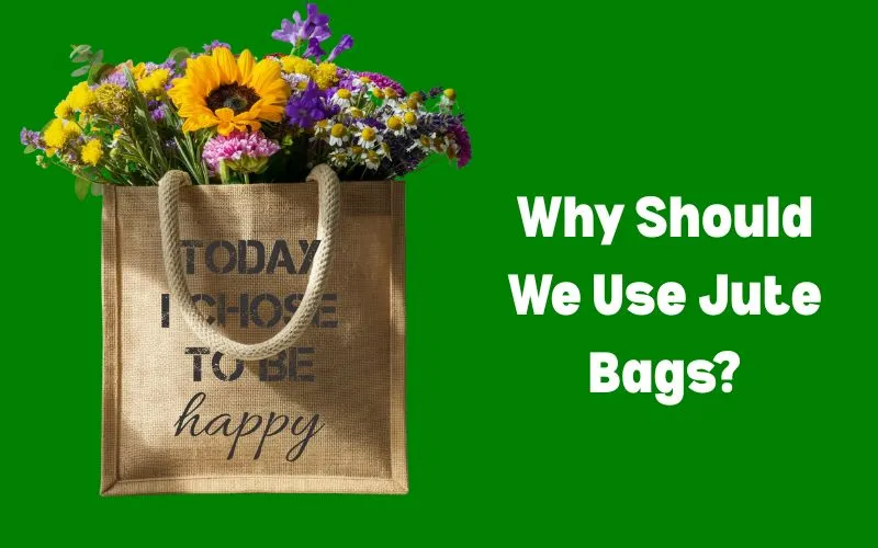 Why Should We Use Jute Bags?