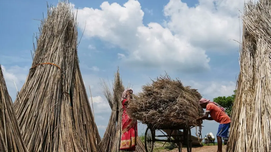 Jute Direct from India