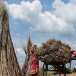 Jute Direct from India